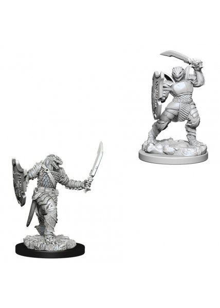 D&D Nolzur's Marvelous Unpainted Miniatures: Dragonborn Female Paladin